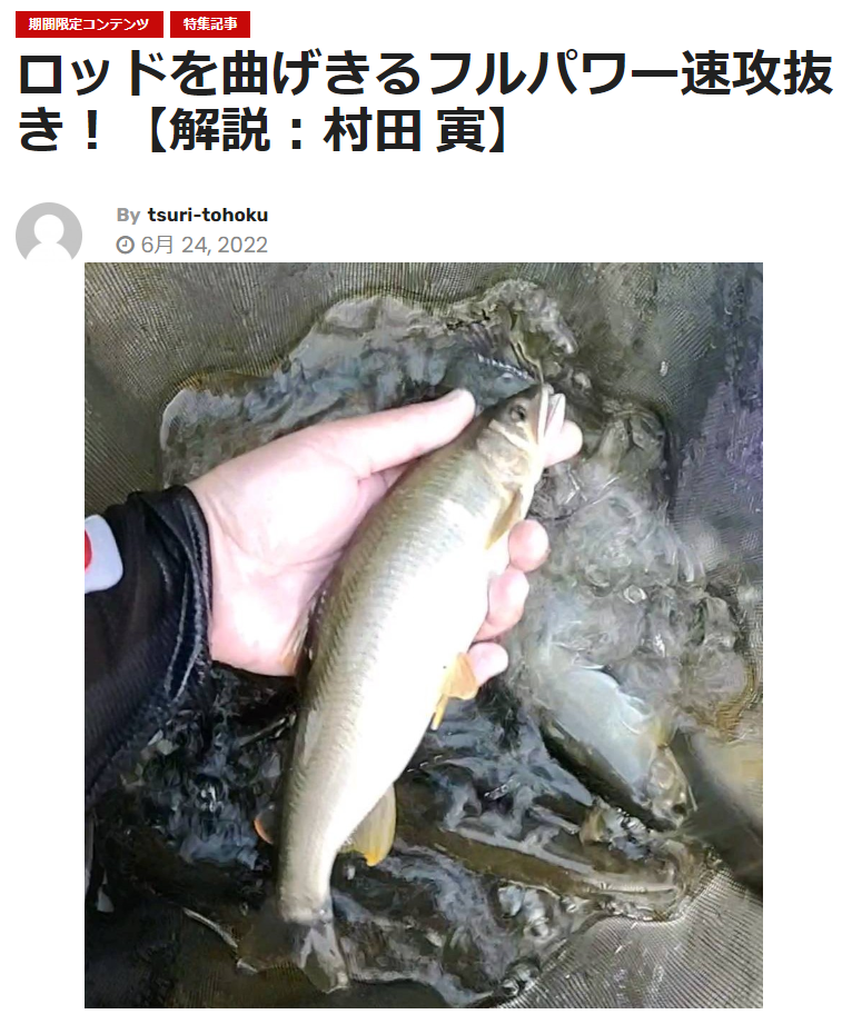 写真の説明