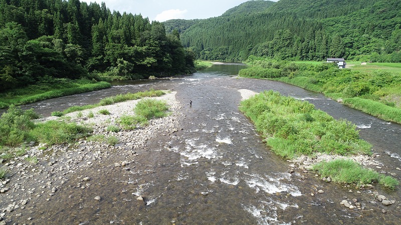 写真の説明