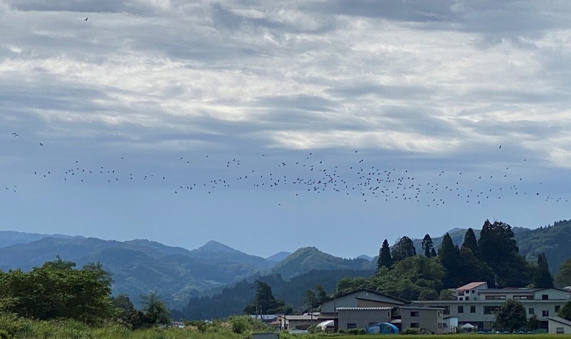 写真の説明