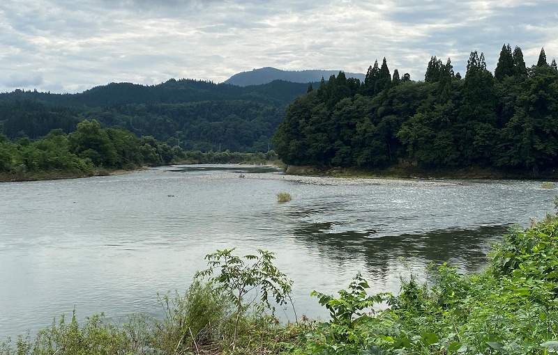写真の説明