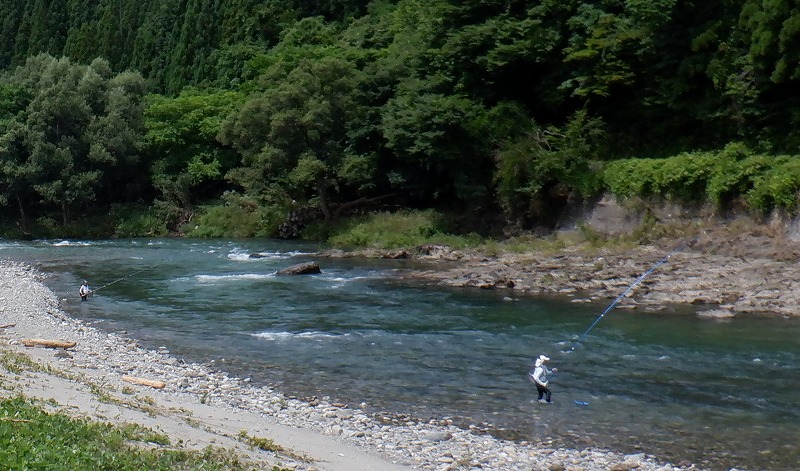 写真の説明