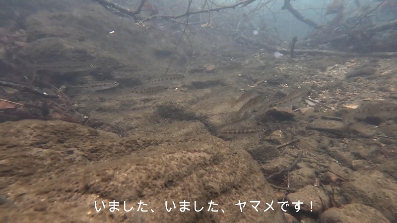 2025-01-11 サムネ