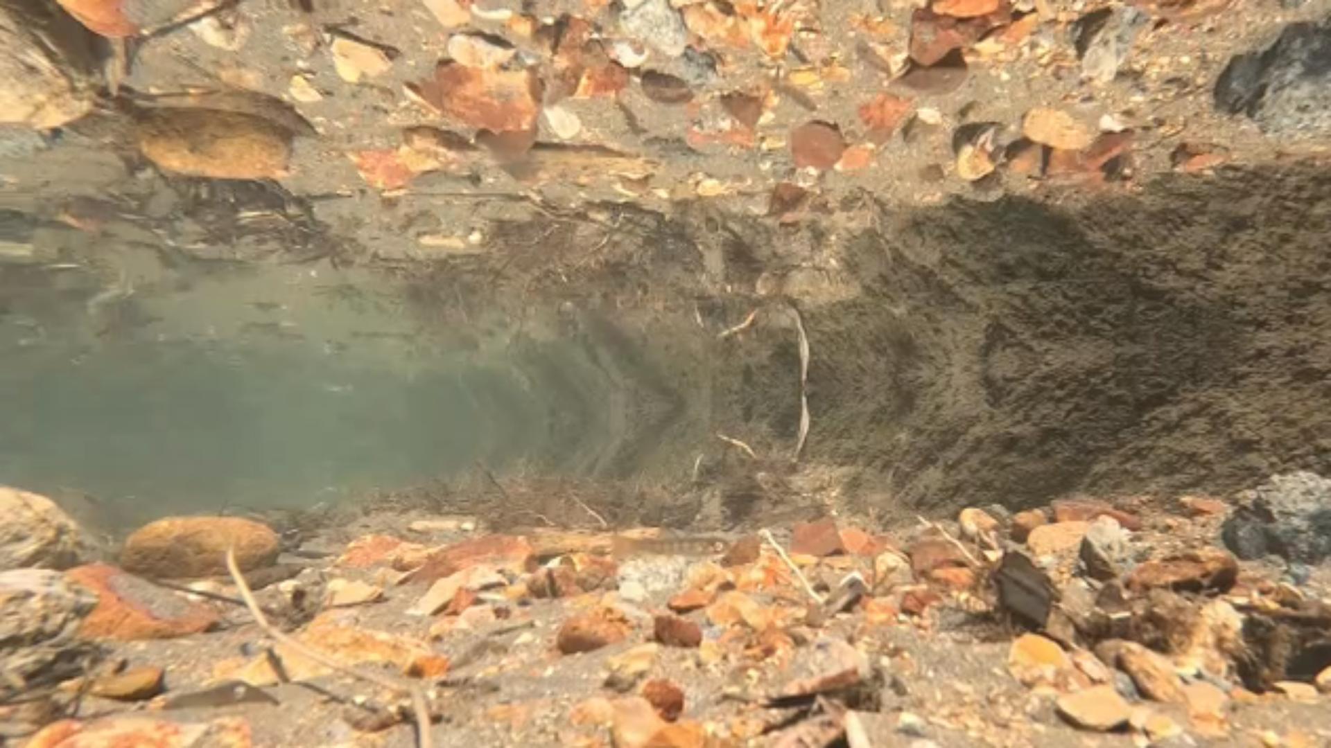 2025-03-10 サムネ