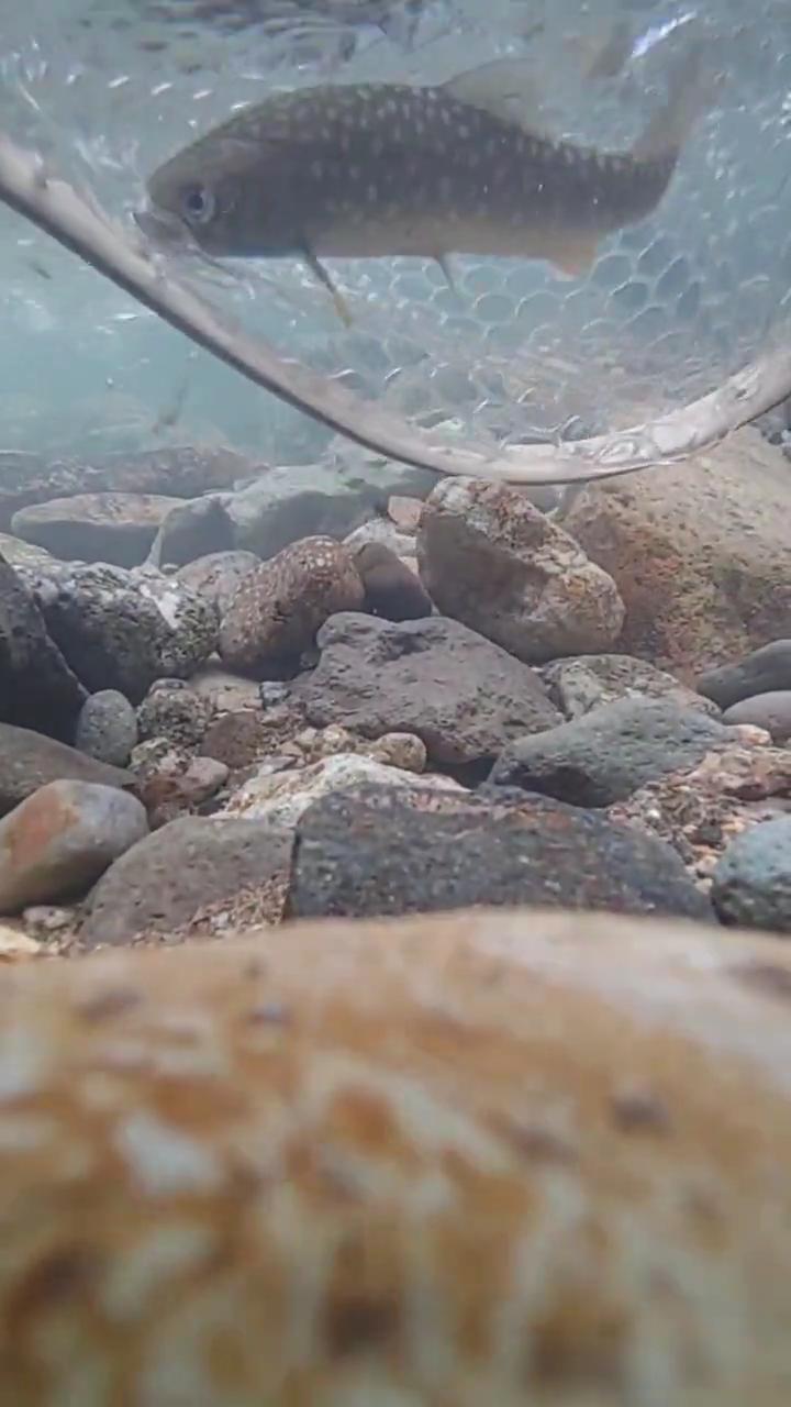 2025-04-05 サムネ