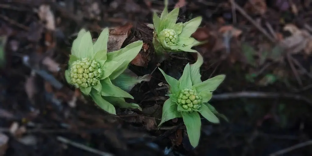 2026-04-12 K.Hosoda レポート写真