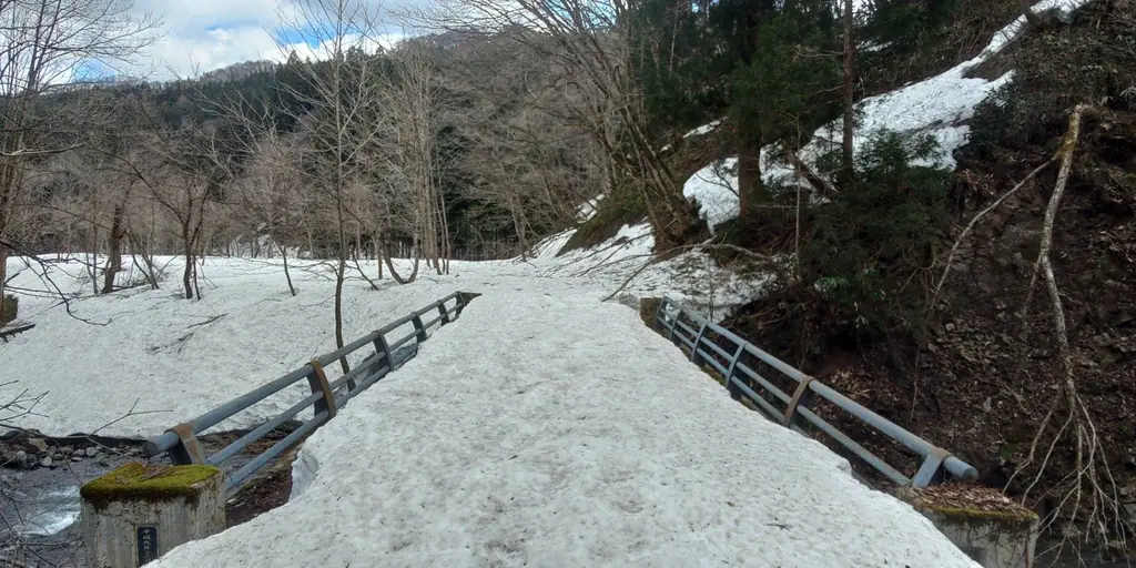 2026-04-12 K.Hosoda レポート写真