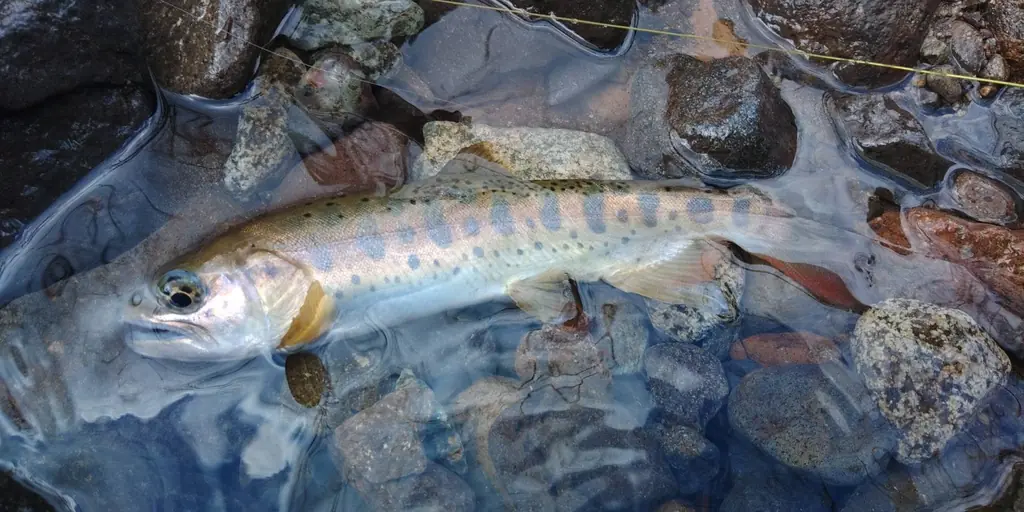 2026-04-12 サムネ