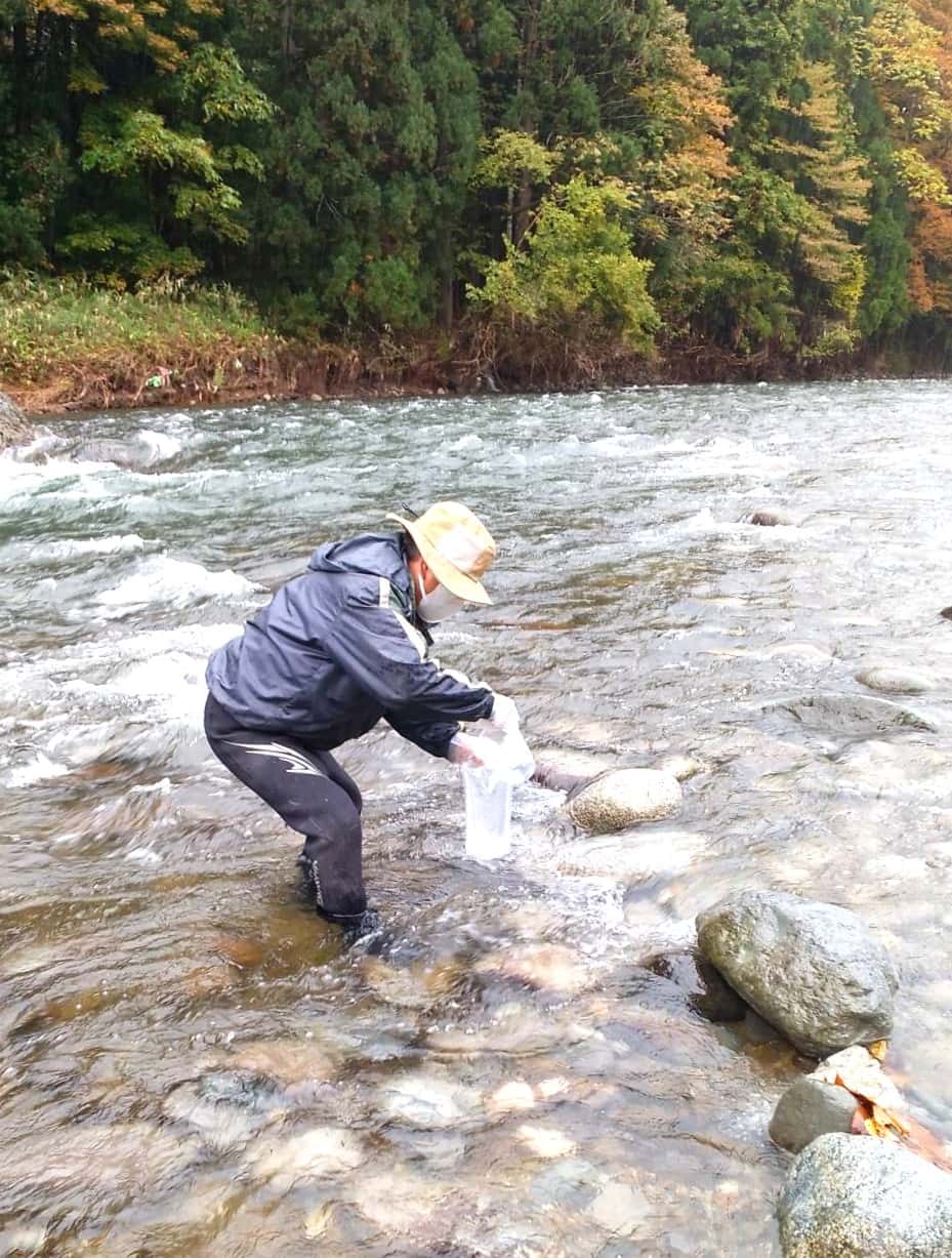 阿仁川で環境DNA採水をしているようす１