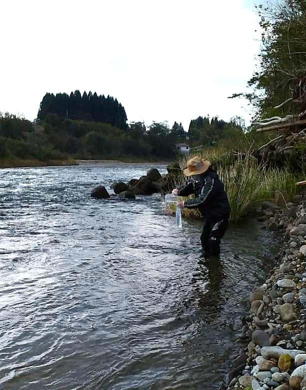 阿仁川で環境DNA採水をしているようす２