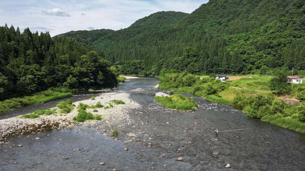 昨日の写真