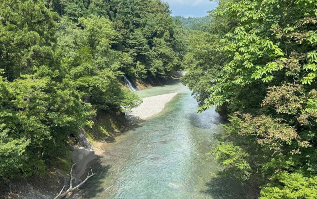 今日の写真