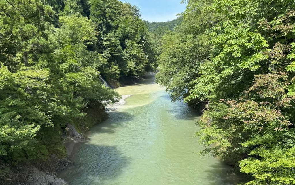 今日の写真