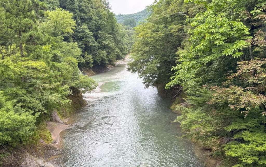 今日の写真