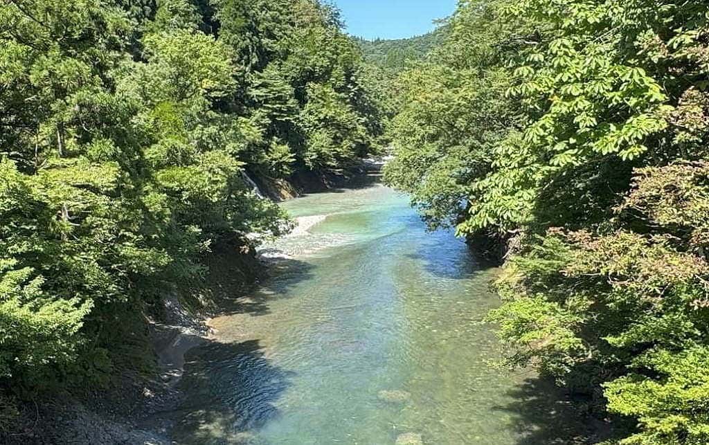 昨日の写真