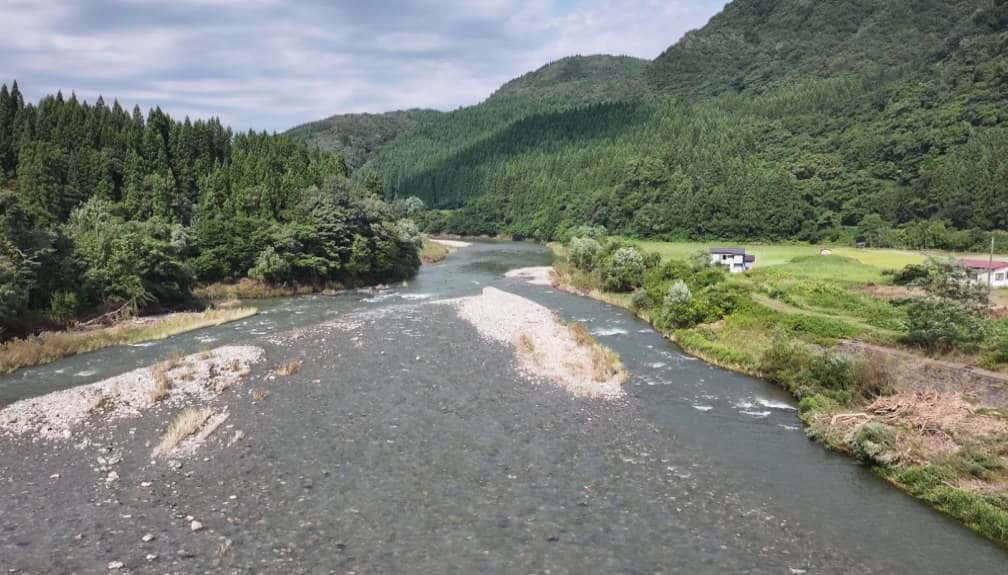 今日の写真