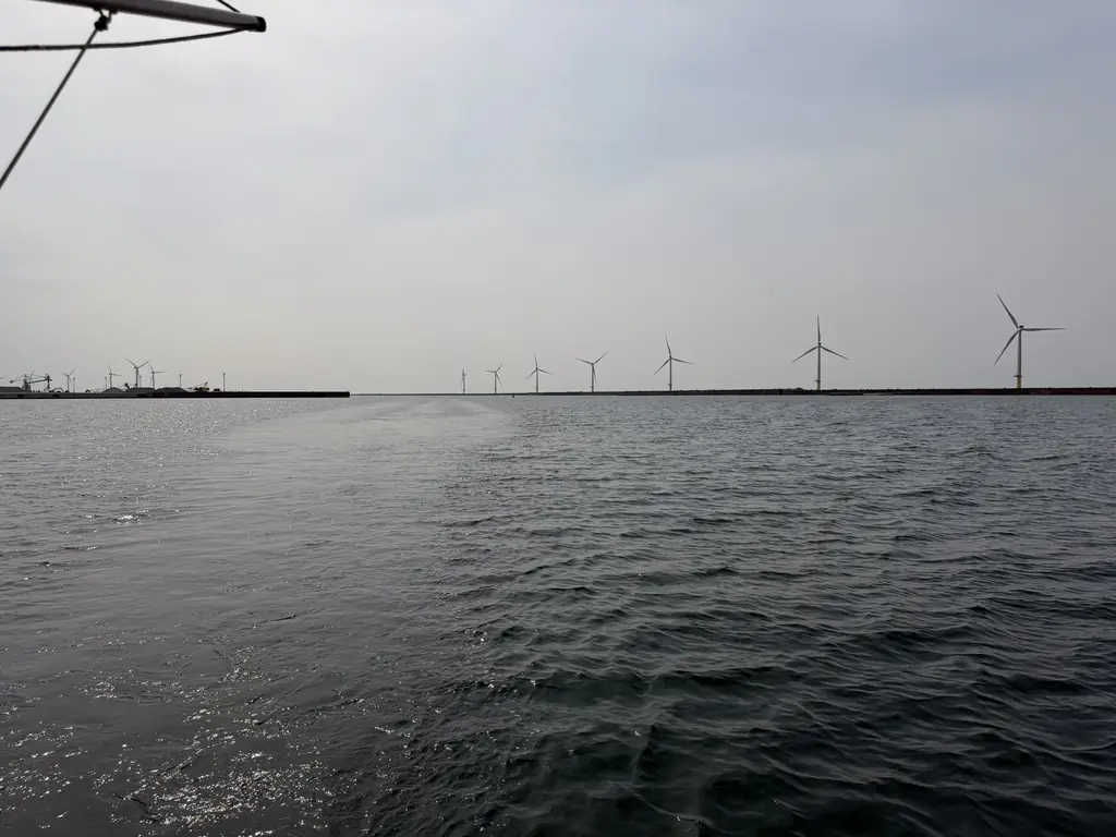 能代港での稚魚探索調査