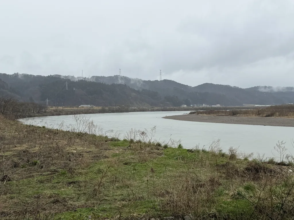 米代川下流部大林