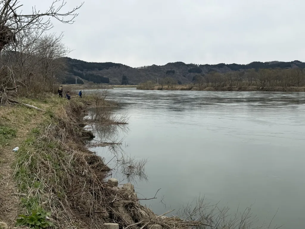 米代川富田エリア