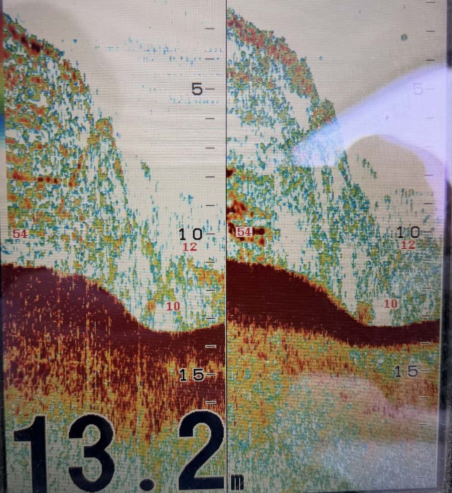 能代港 魚探反応