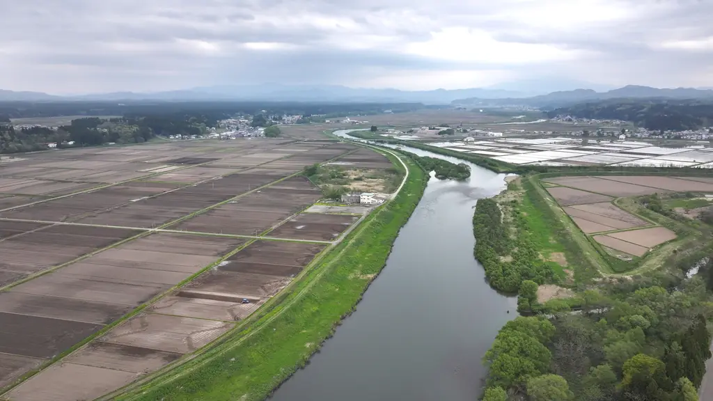 小阿仁川合流点