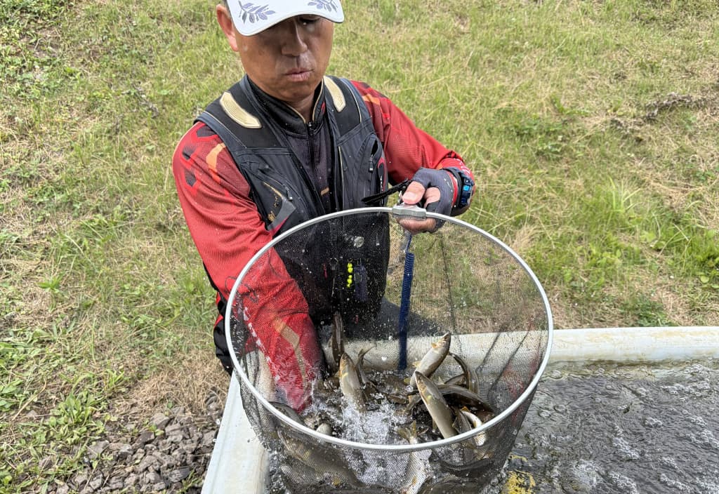 各エリア
