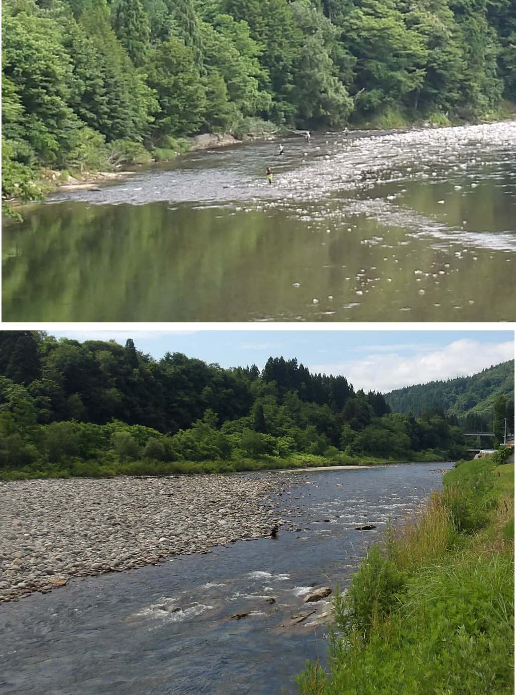 阿仁川