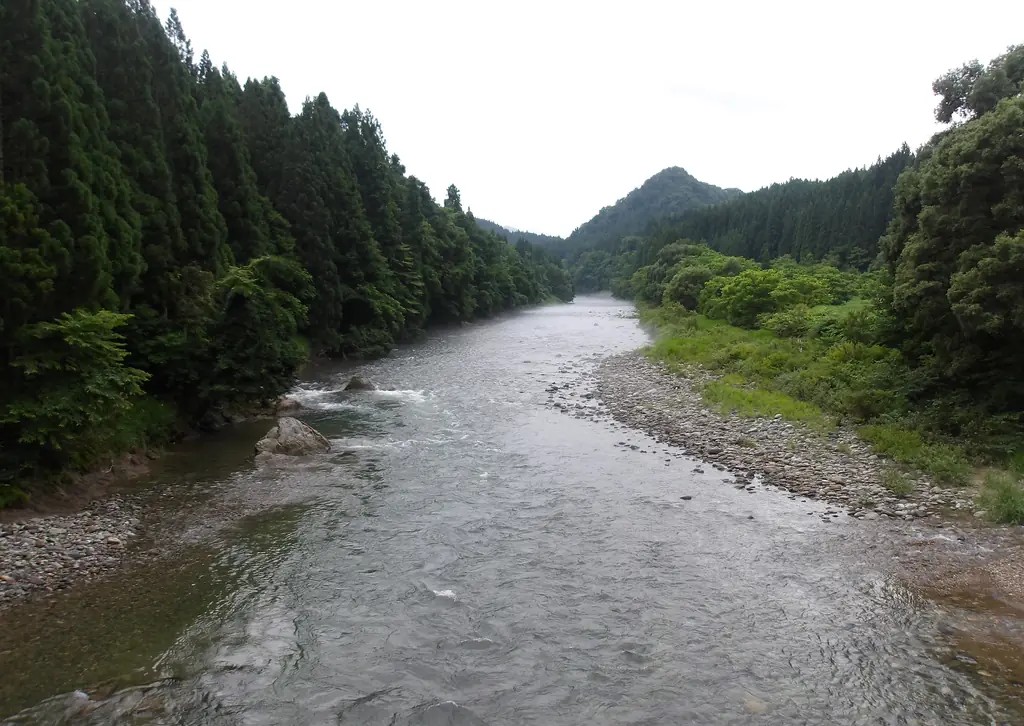 今日の 荒瀬