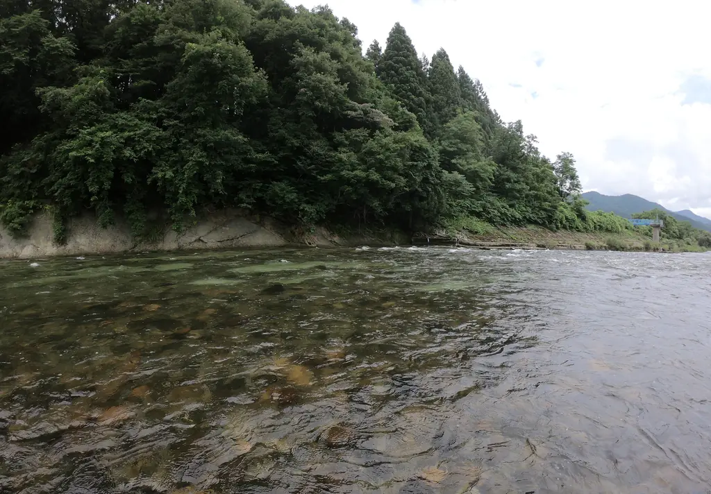 阿仁川