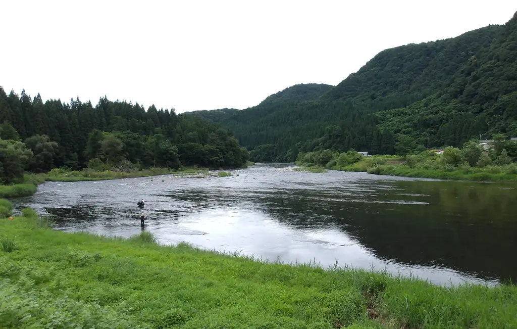 阿仁川