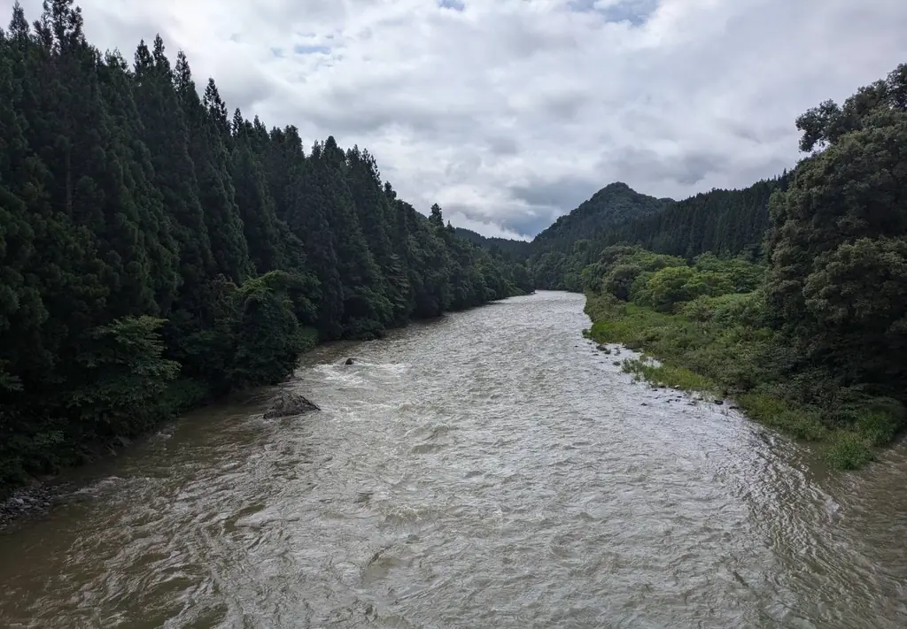 今日の 荒瀬