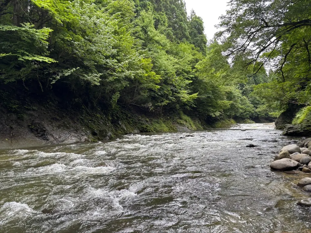 阿仁川