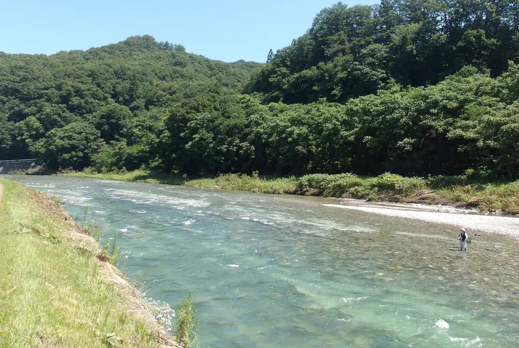 阿仁川