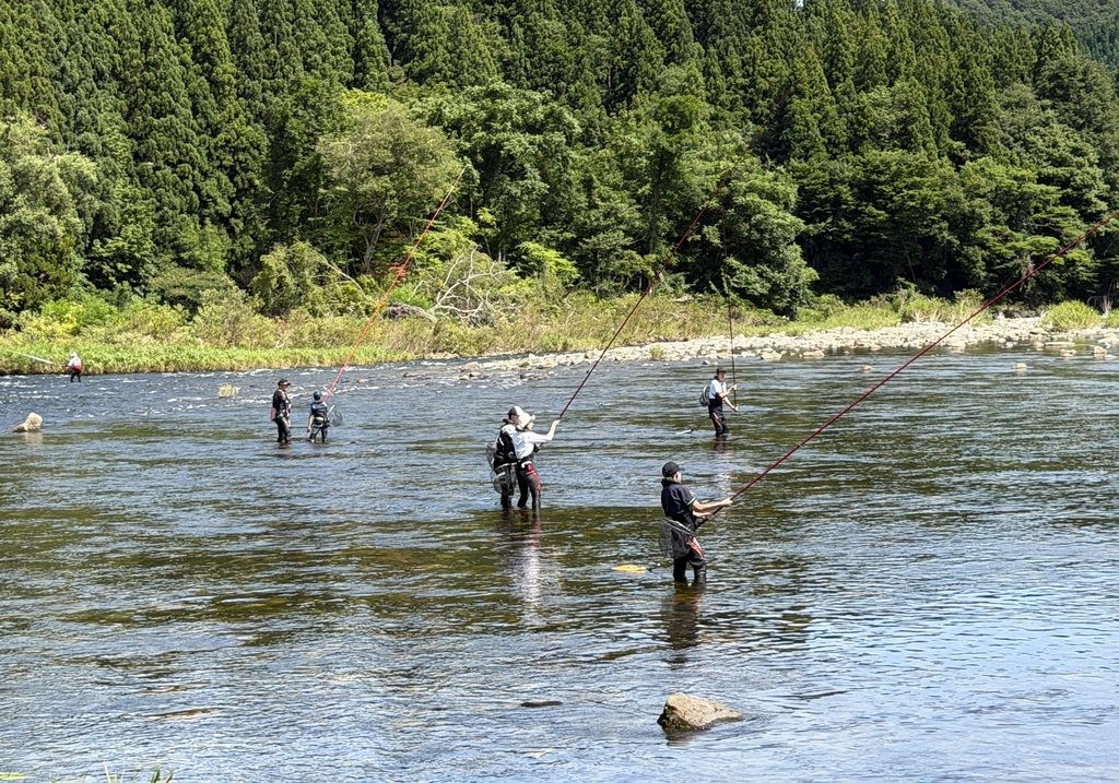鮎釣りの指導