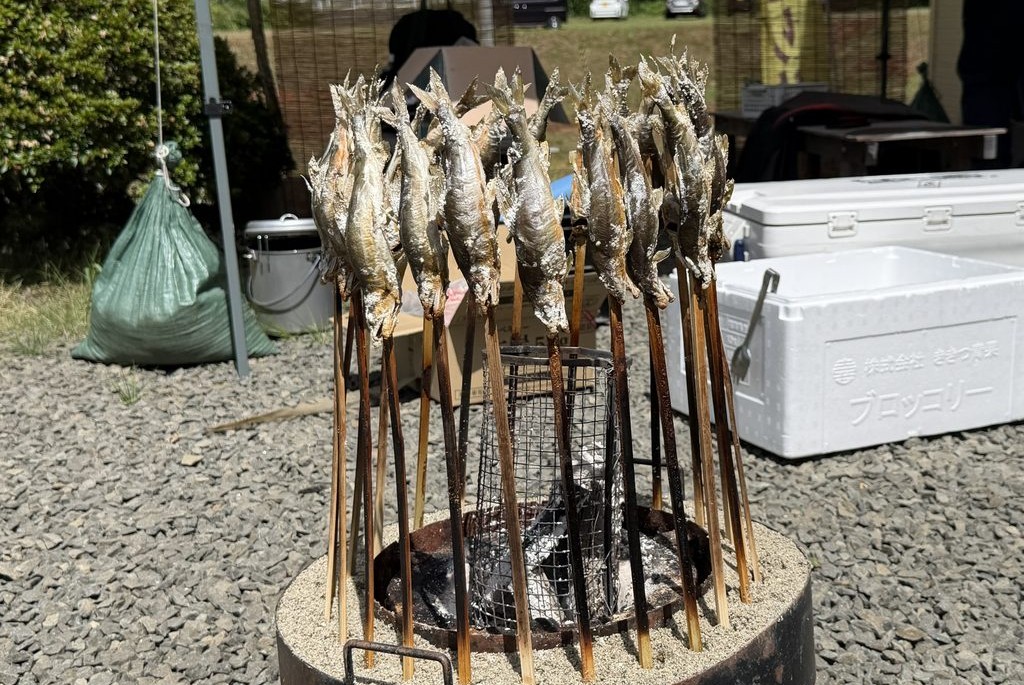 阿仁川の鮎