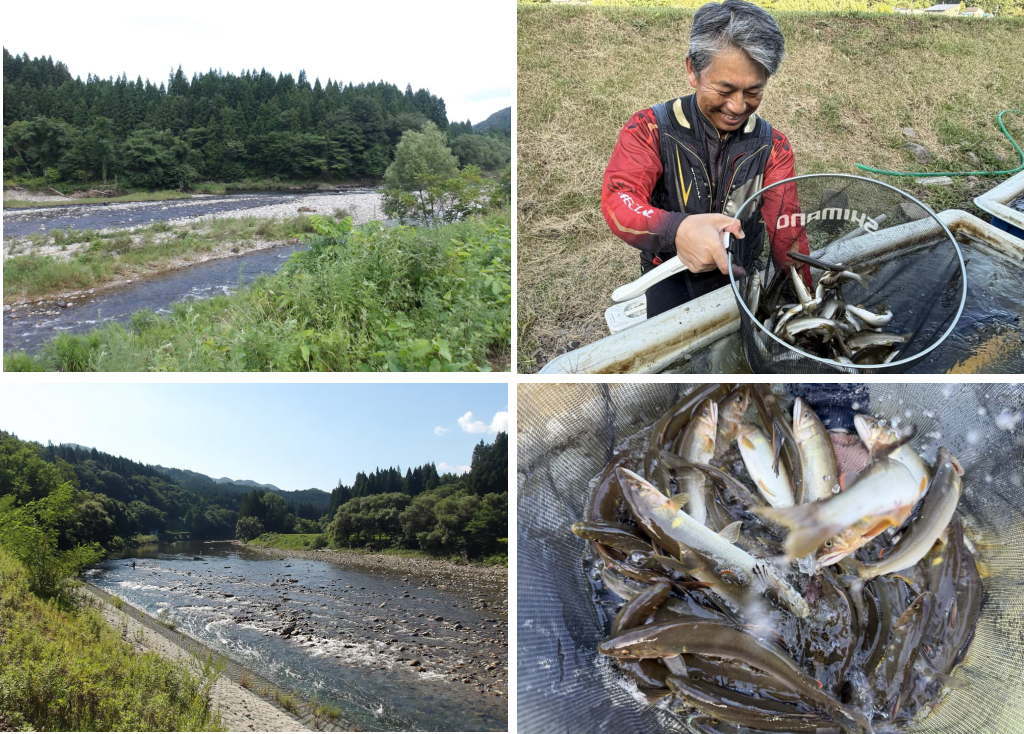 阿仁川