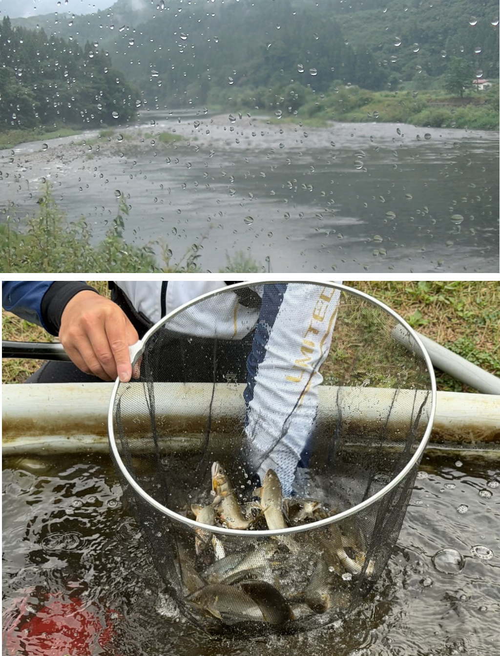 阿仁川