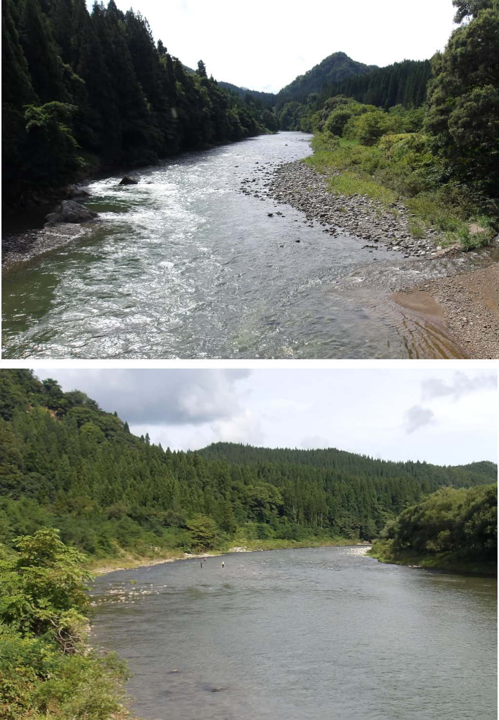 阿仁川