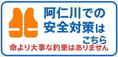 写真の説明