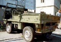 Haflinger