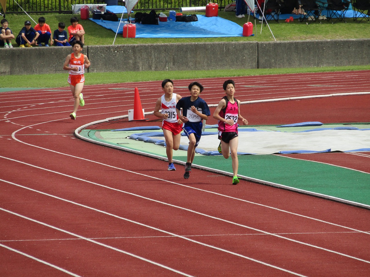 274-2.jpg