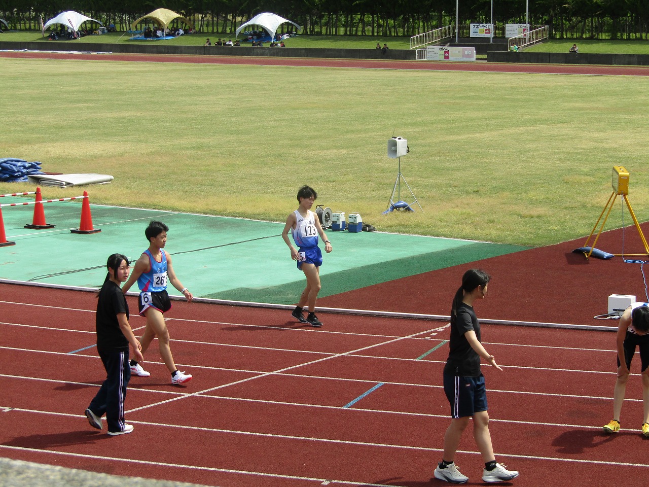 274-4.jpg