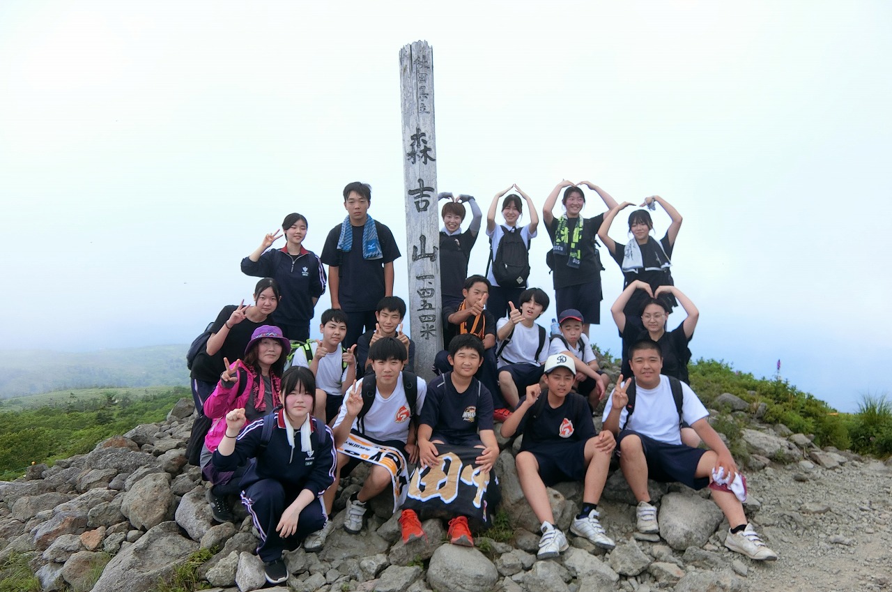293-3.jpg