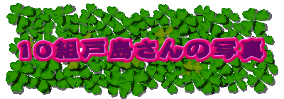 POg˓̎ʐ^