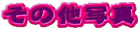̑ʐ^