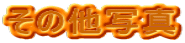 ̑ʐ^