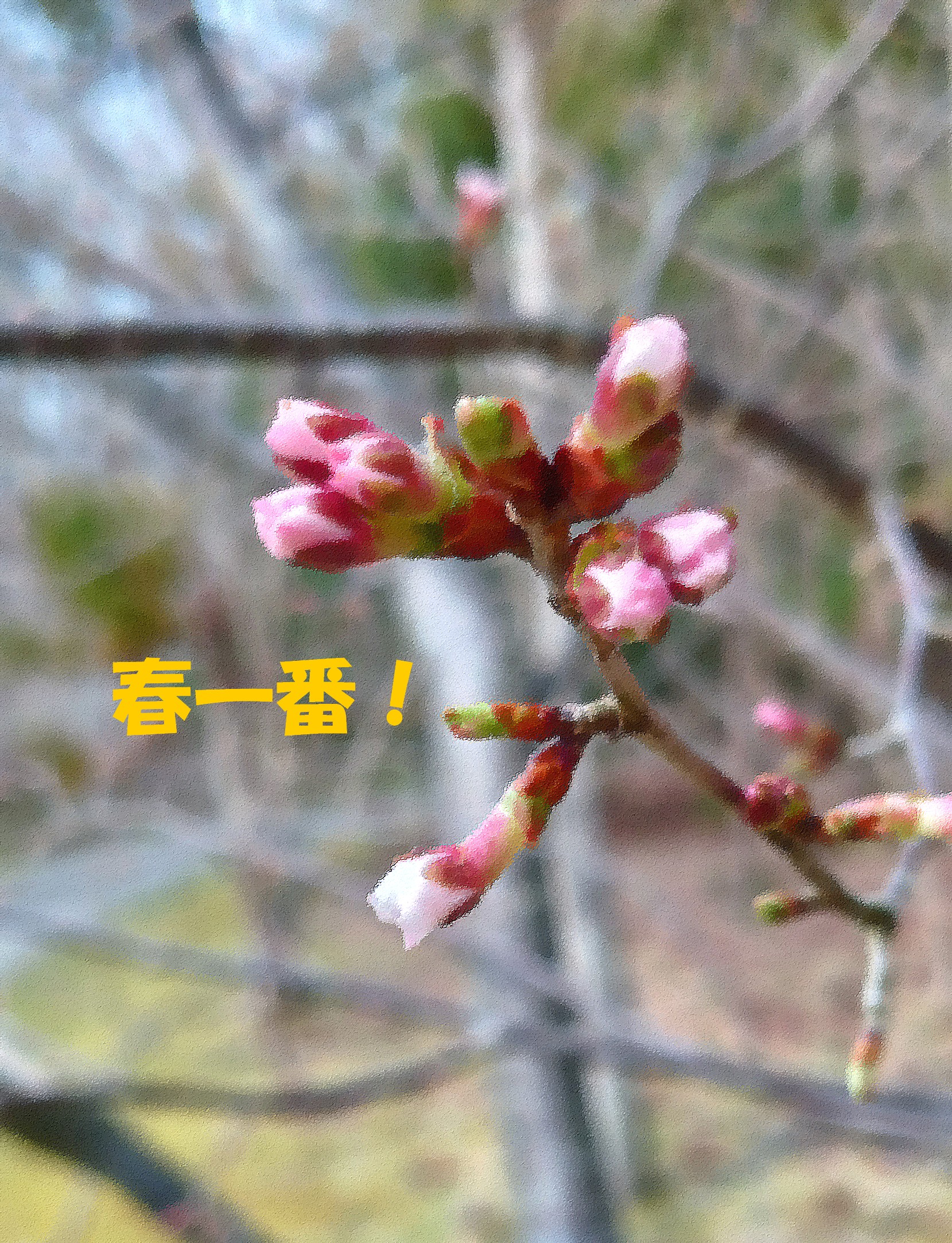 プロフ