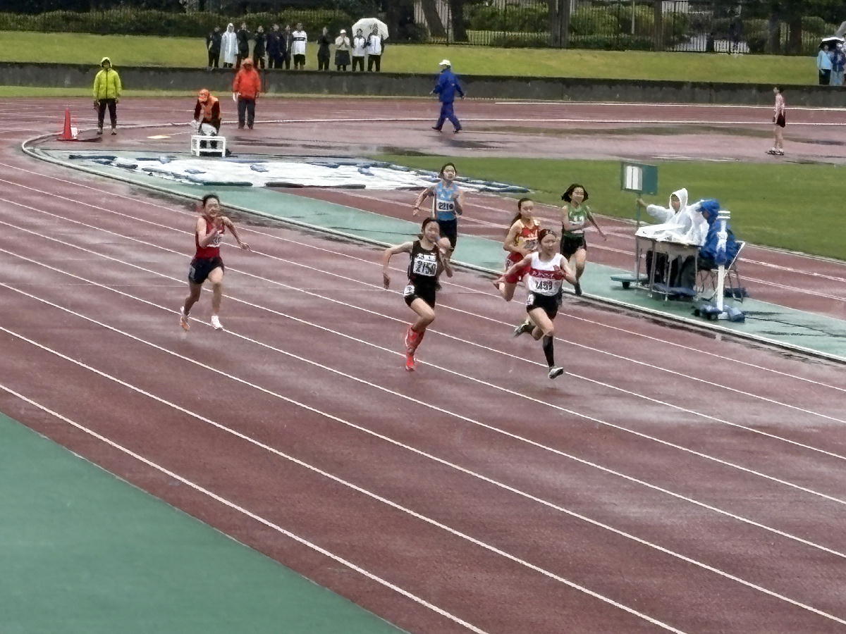 72-3.jpg