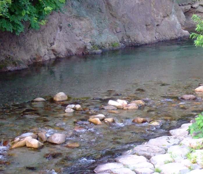 ファイル 11-2.jpg