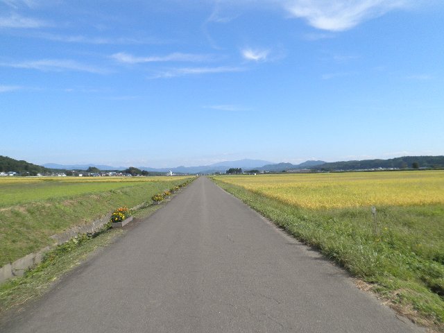 ファイル 12-1.jpg