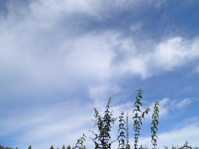 ファイル 12-3.jpg